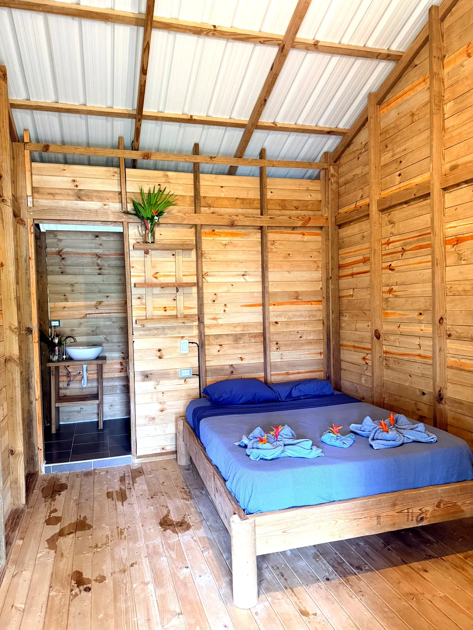Colibrí Room